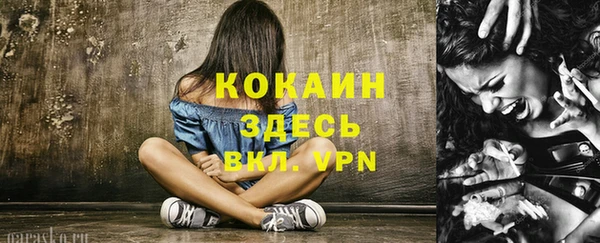 крисы Балахна
