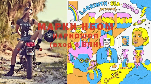 Альфа ПВП Арсеньев