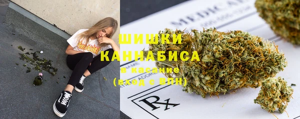 крисы Балахна