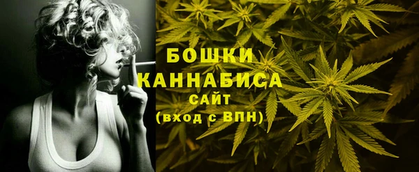 ГАЛЛЮЦИНОГЕННЫЕ ГРИБЫ Рославль